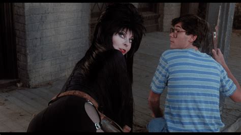 elvira nsfw|Mistress of the Dark